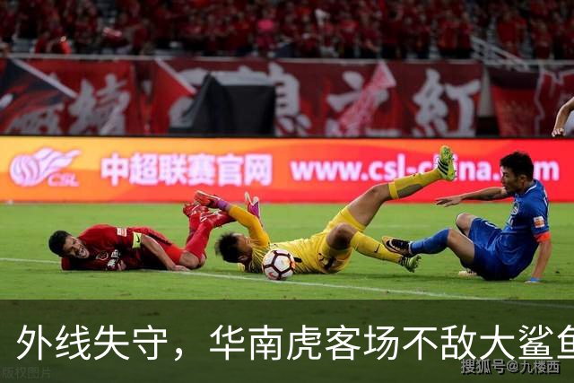外线失守，华南虎客场不敌大鲨鱼